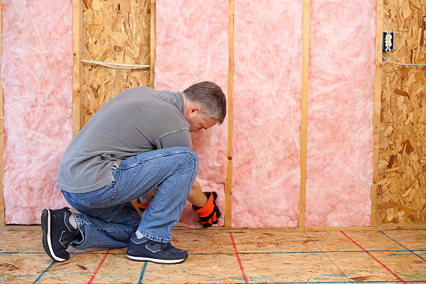 Best Insulation for Specific Applications in Ray City, GA