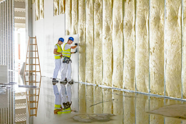 Types of Insulation We Offer in GA